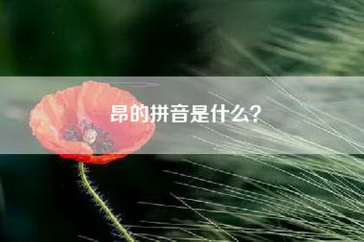 昂的拼音是什么？