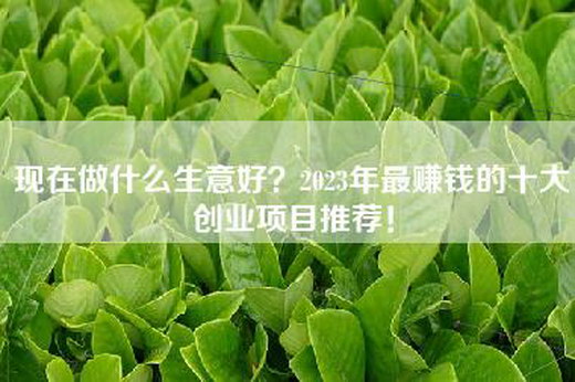 现在做什么生意好？2023年最赚钱的十大创业项目推荐！