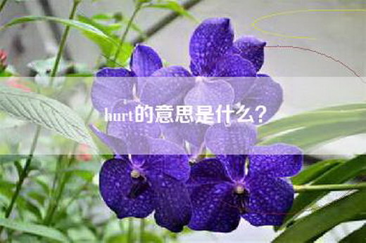 hurt的意思是什么？