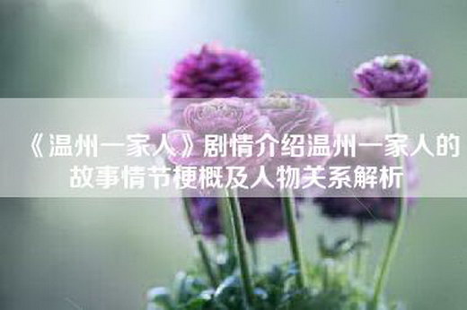 《温州一家人》剧情介绍温州一家人的故事情节梗概及人物关系解析