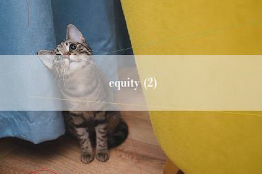 equity (2)