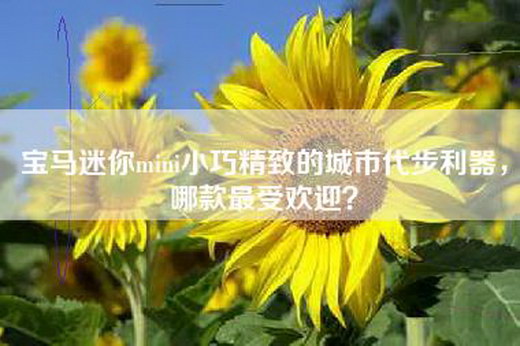 宝马迷你mini小巧精致的城市代步利器，哪款最受欢迎？