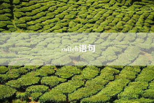 switch语句