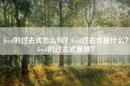 feed的过去式怎么写？feed过去式是什么？feed的过去式是啥？