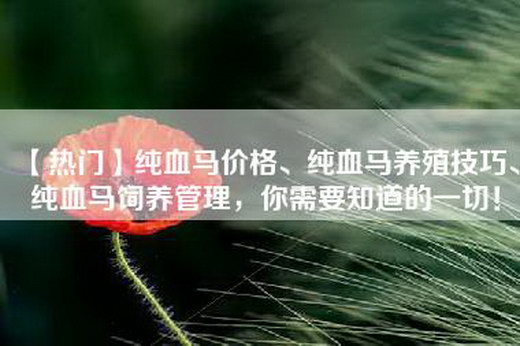 【热门】纯血马价格、纯血马养殖技巧、纯血马饲养管理，你需要知道的一切！