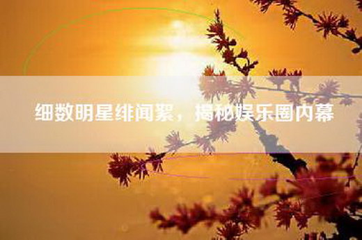 细数明星绯闻絮，揭秘娱乐圈内幕