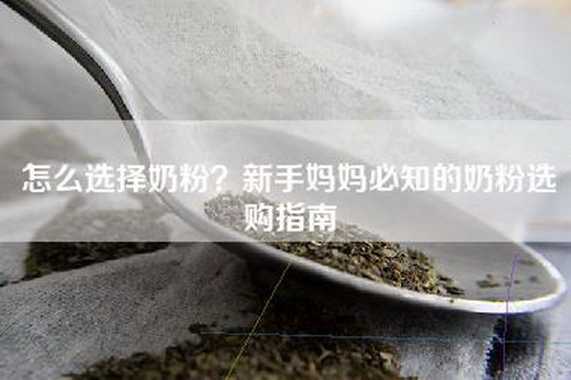 怎么选择奶粉？新手妈妈必知的奶粉选购指南