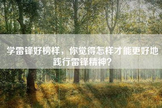 学雷锋好榜样，你觉得怎样才能更好地践行雷锋精神？