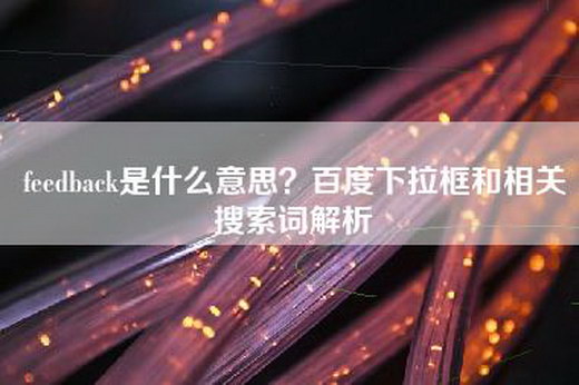 feedback是什么意思？百度下拉框和相关搜索词解析