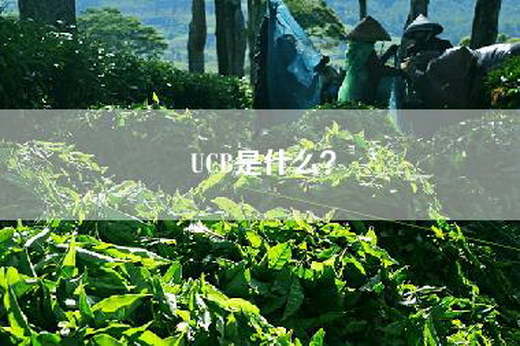 UCB是什么？