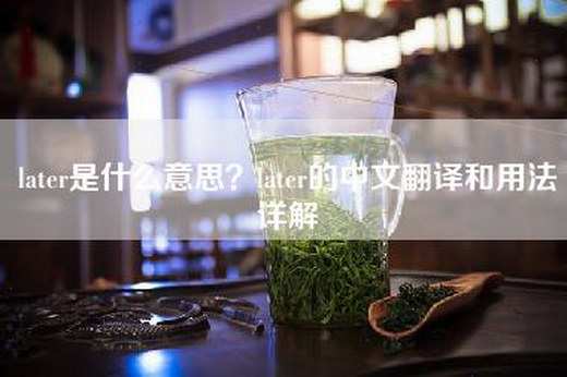 later是什么意思？later的中文翻译和用法详解