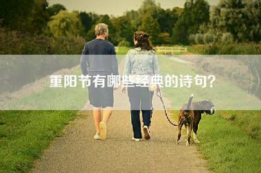 重阳节有哪些经典的诗句？