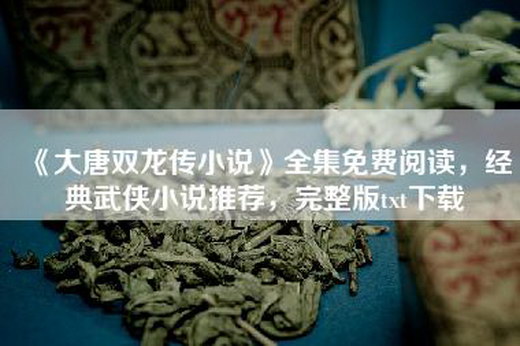 《大唐双龙传小说》全集免费阅读，经典武侠小说推荐，完整版txt下载