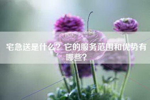 宅急送是什么？它的服务范围和优势有哪些？