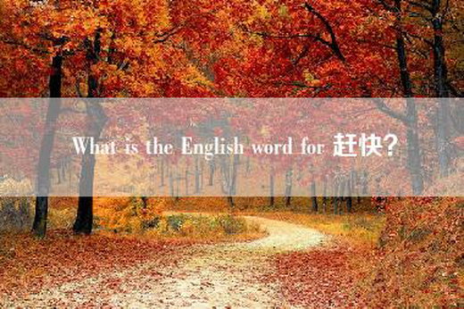 What is the English word for 赶快？