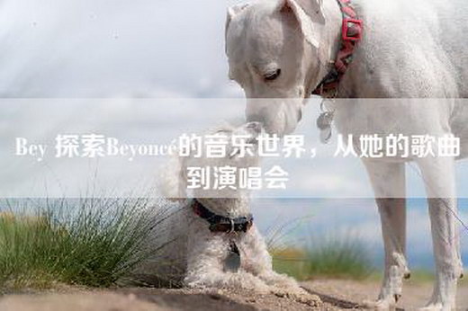 Bey 探索Beyoncé的音乐世界，从她的歌曲到演唱会