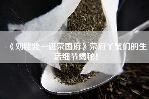 《刘姥姥一进荣国府》荣府丫鬟们的生活细节揭秘！