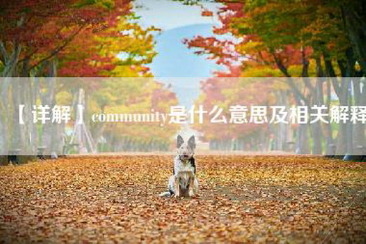 【详解】community是什么意思及相关解释