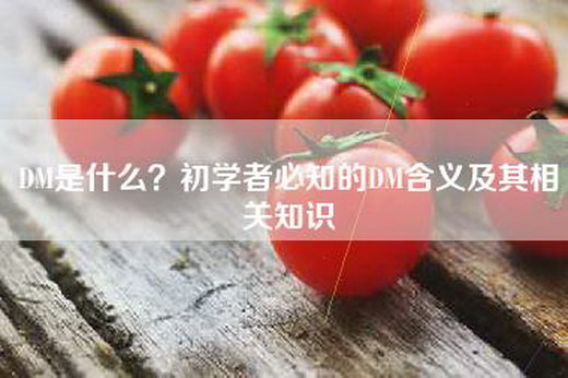 DM是什么？初学者必知的DM含义及其相关知识