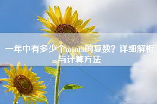 一年中有多少个month的复数？详细解析与计算方法